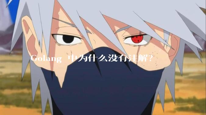 Golang 中为什么没有注解？