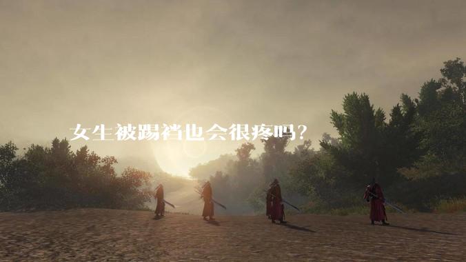 女生被踢裆也会很疼吗？