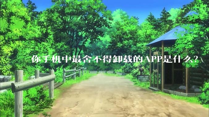 你手机中最舍不得卸载的APP是什么？