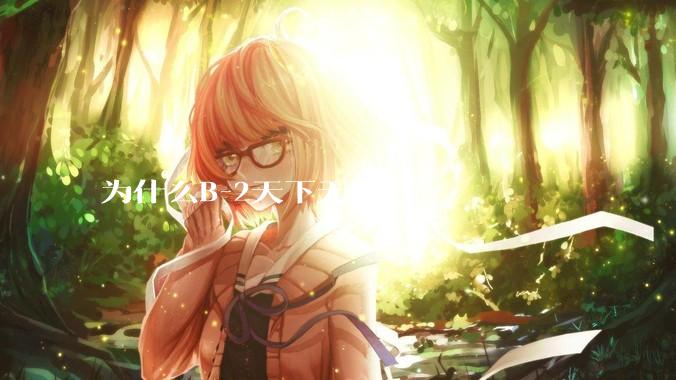 为什么B-2天下无敌？