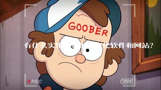 有什么实用的数据可视化软件和网站？